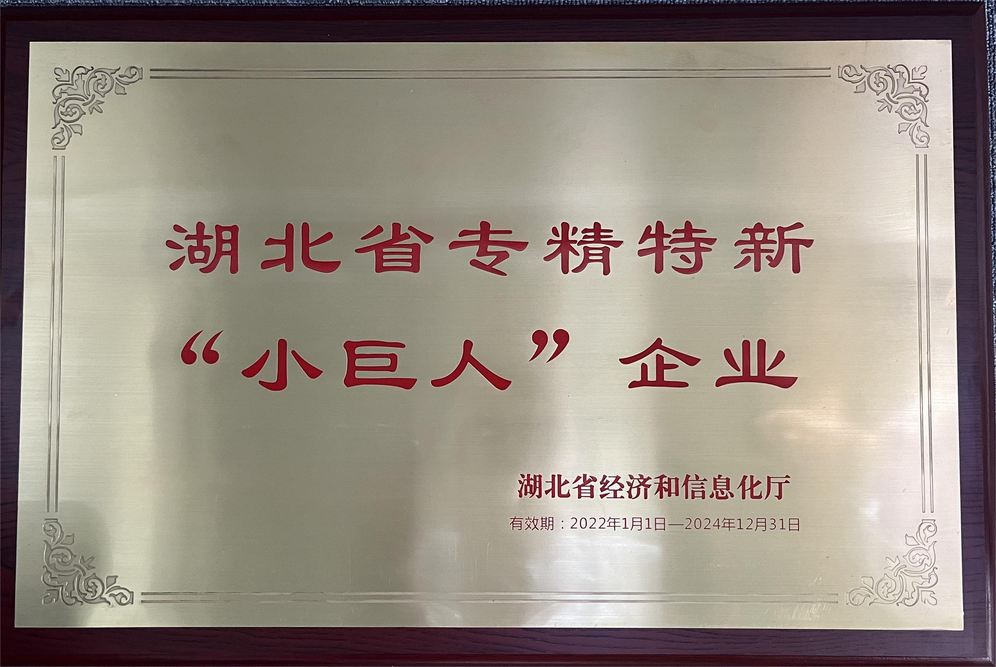 湖北省专精特新“小巨人”企业